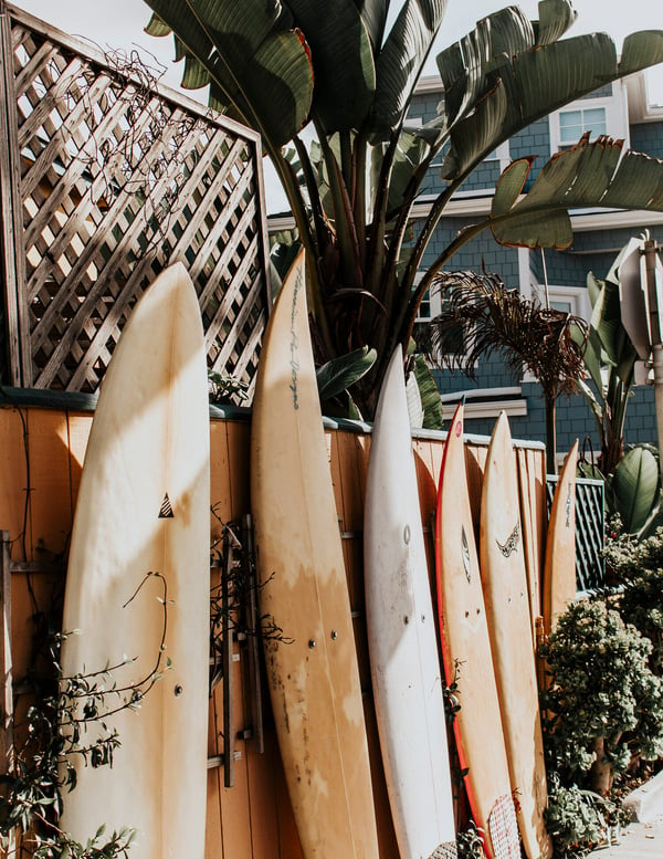 Surf Boards in San Diego