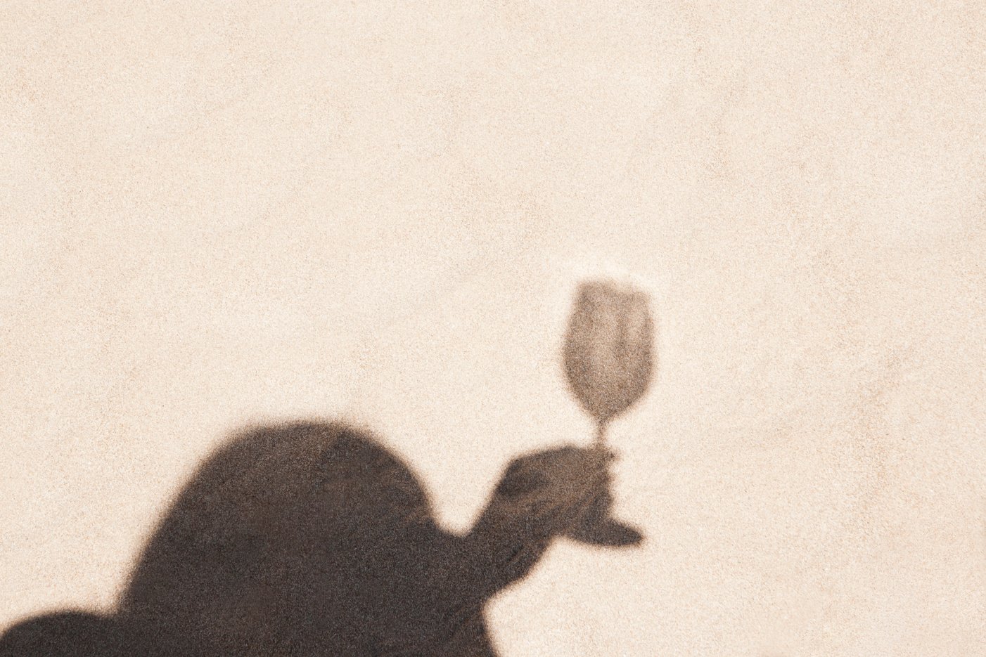 girl shadow drinking wine on sandy beach